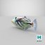 Triggerfish