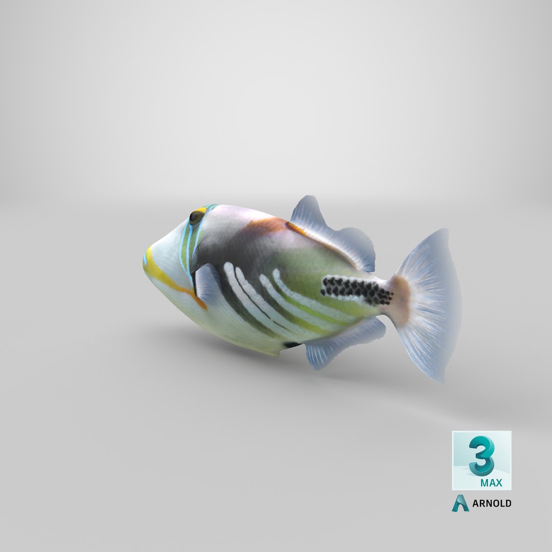 triggerfish scanline 3D model https://p.turbosquid.com/ts-thumb/b8/E4audL/vOW5dAVH/stemcell_max_arnold_render/png/1581774983/1920x1080/fit_q87/4780e73e8c951de3700e44aca7358b962d14a3c0/stemcell_max_arnold_render.jpg