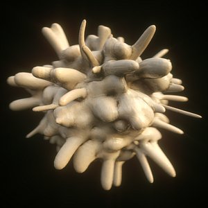 Leukocyte Macrophage White Blood Cell