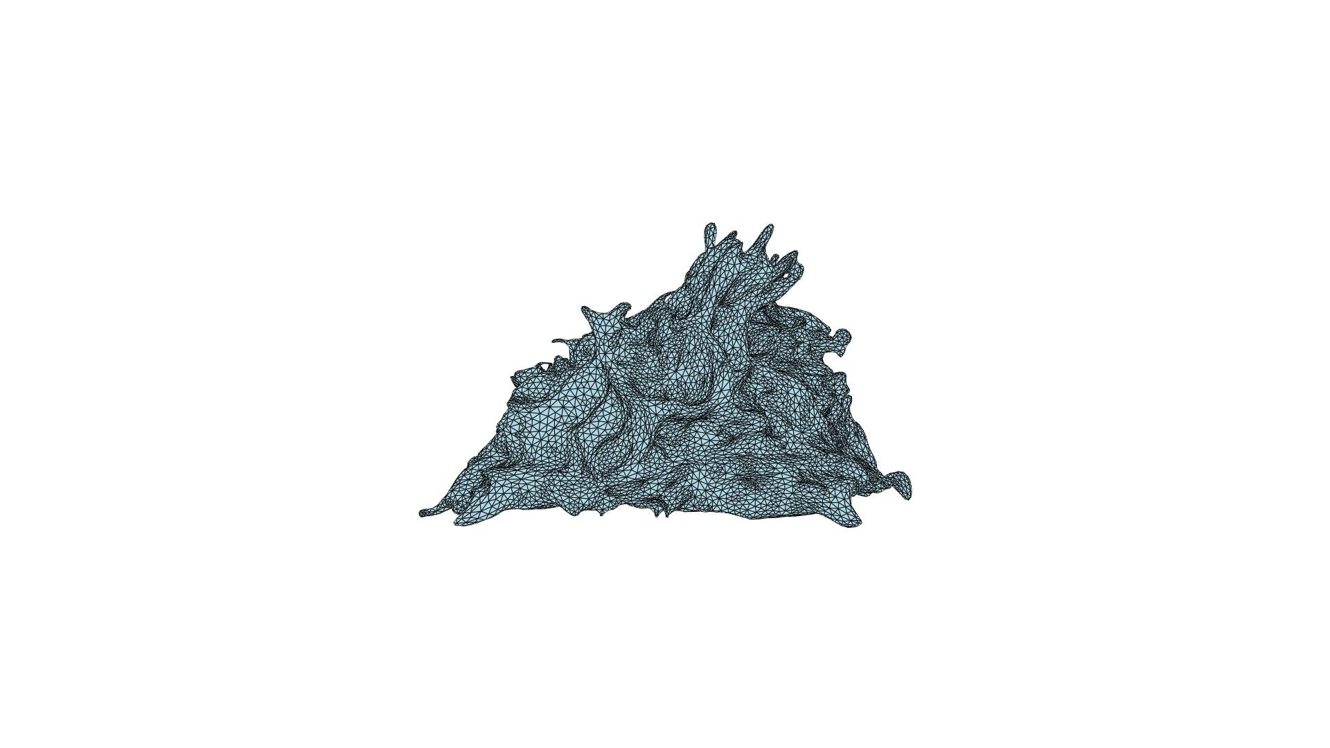 Seaweed Model Model - TurboSquid 2221420