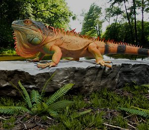 3D realistic lizard PBR 8k Low-poly