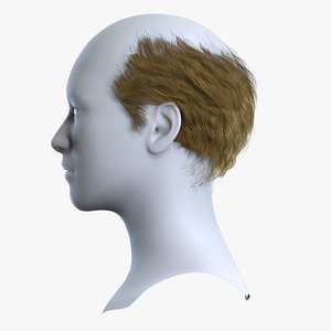 3D Severe Receding Hairline Old Man Haircut - Real-time Hair Cards