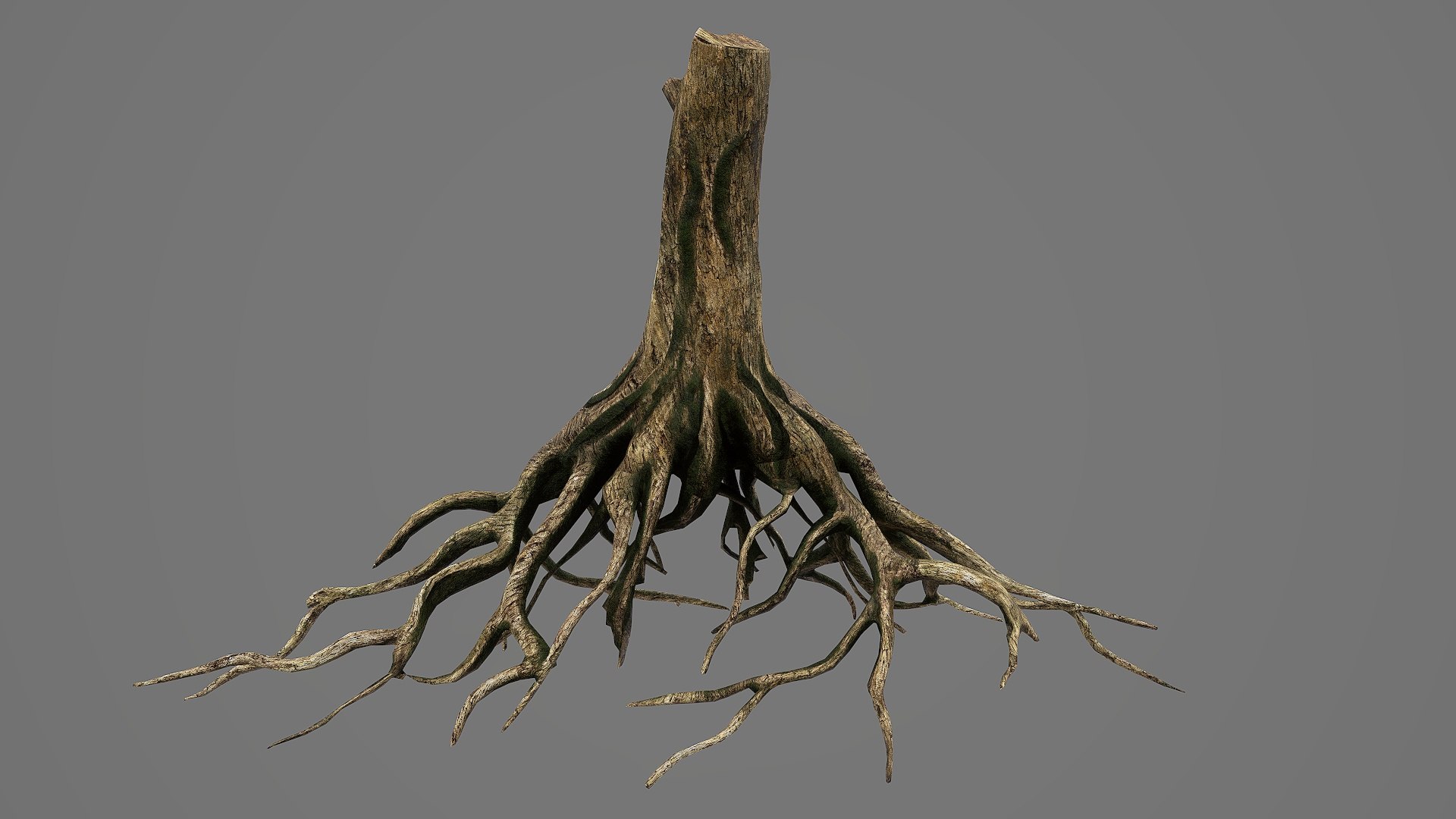 3D Tree Roots V8 PBR Model - TurboSquid 2461041