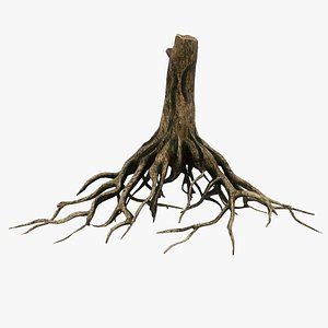 3D Tree Roots V8 PBR model