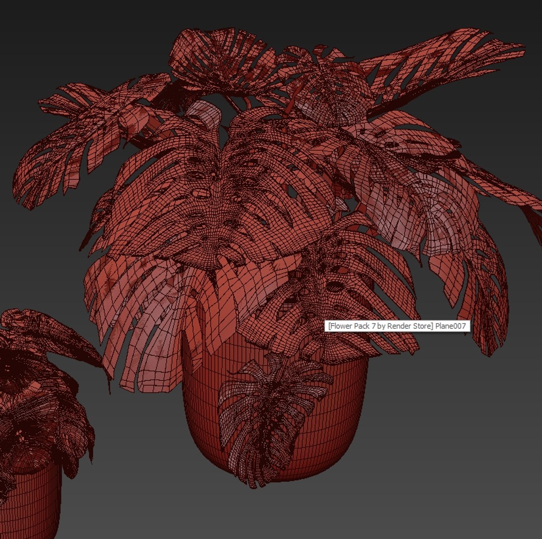 3D potted plants set 11 https://p.turbosquid.com/ts-thumb/b8/gWixy3/5WP6toz5/flowerpack11.maxautodesk3dsmax20182/jpg/1589560867/1920x1080/fit_q87/d8a3719e1224886d642bb8d83b8162cac3cd8983/flowerpack11.maxautodesk3dsmax20182.jpg