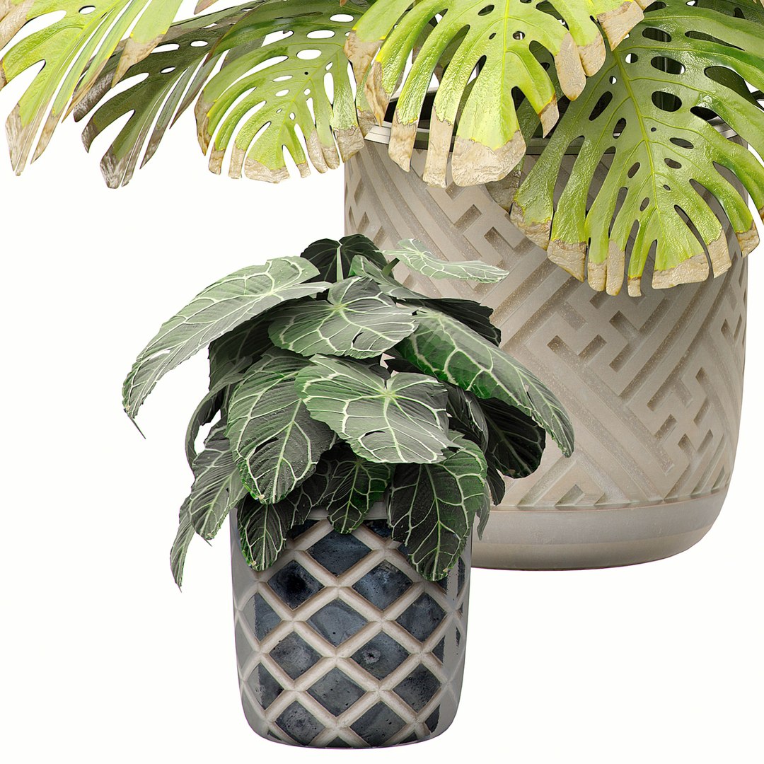 3D potted plants set 11 https://p.turbosquid.com/ts-thumb/b8/gWixy3/7a7Ue7Sw/flowerpack112/jpg/1589560840/1920x1080/fit_q87/2572d0a7618eb7ec4600be5b96fcbfc8ae7f5047/flowerpack112.jpg