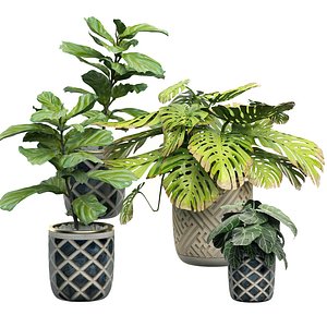 3D potted plants set 11
