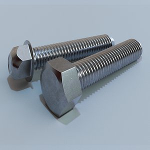 Screw