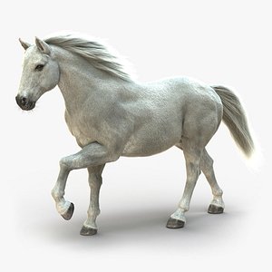Horse (2) (White) (ANIMATED) (FUR)
