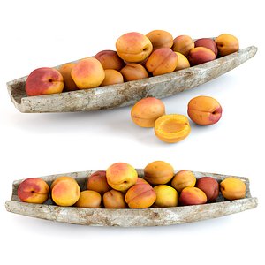 Apricots set02