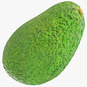3D Avocado V1