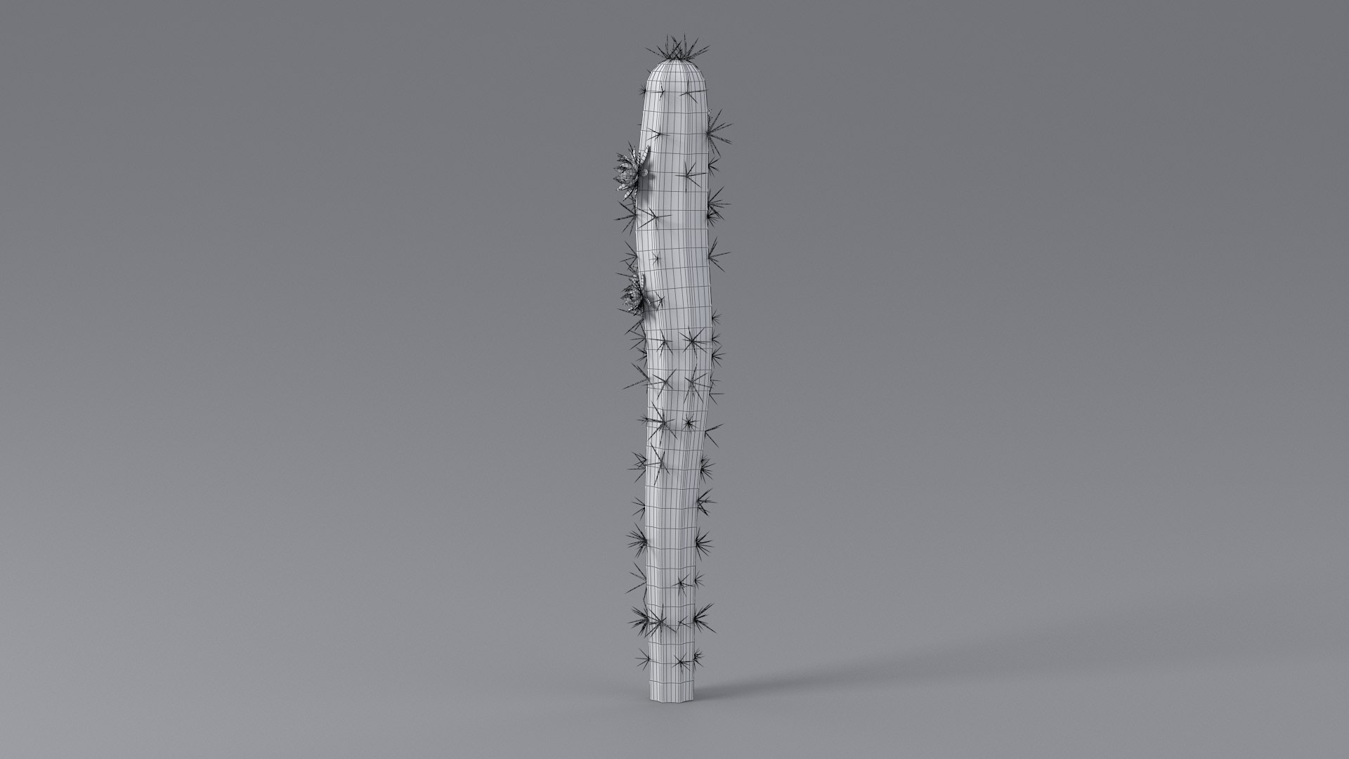 3D Cartoon Cactus 01 https://p.turbosquid.com/ts-thumb/b8/zEKhBJ/DA/cactus_one_11/jpg/1659605781/1920x1080/fit_q87/1e709428795ea2cf34b91fcc813f3fd6e571f2f4/cactus_one_11.jpg