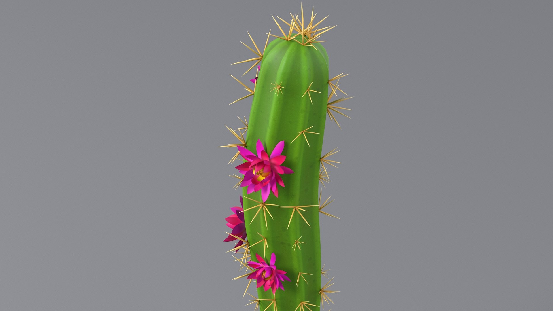 3D Cartoon Cactus 01 https://p.turbosquid.com/ts-thumb/b8/zEKhBJ/Vb/cactus_one_07/jpg/1659605779/1920x1080/fit_q87/dd4ff5e98fa70ffa37e342843359bf76af11e6e8/cactus_one_07.jpg