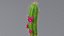 Cartoon Cactus 01