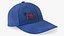 Baseball Caps with Political Party Symbols Collection