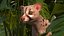 Asian Palm Civet Musang Spotted Coat Brown