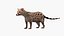 Asian Palm Civet Musang Spotted Coat Brown
