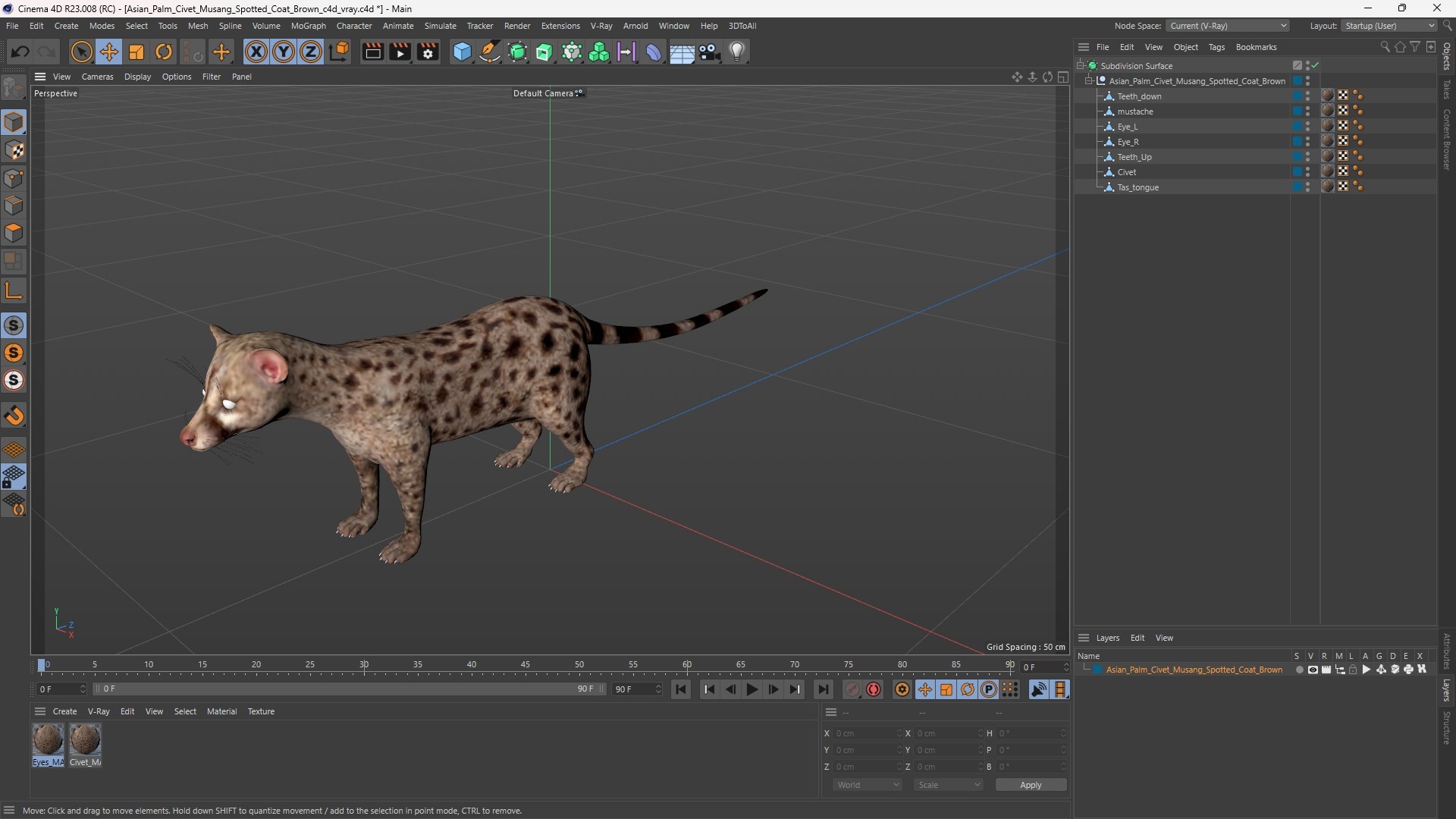 3D model Asian Palm Civet Musang Spotted Coat Brown https://p.turbosquid.com/ts-thumb/b9/HdalTu/KP/asian_palm_civet_musang_spotted_coat_brown_1003/jpg/1758710591/1920x1080/fit_q87/de85ccf7afaf0d3adfb93a0928c73a01c103eeda/asian_palm_civet_musang_spotted_coat_brown_1003.jpg