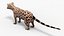 Asian Palm Civet Musang Spotted Coat Brown