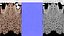 Asian Palm Civet Musang Spotted Coat Brown
