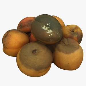 3D Rotten Apricots 03