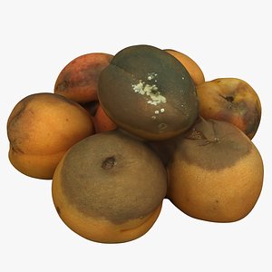 Rotten Apricots 03
