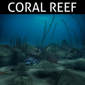 coral reef model