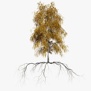 3D birch autumn 2