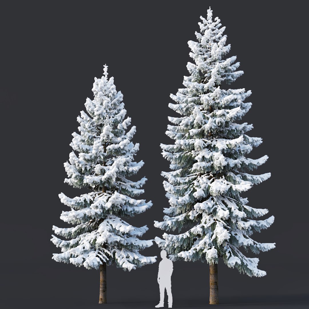 Winter 3d model