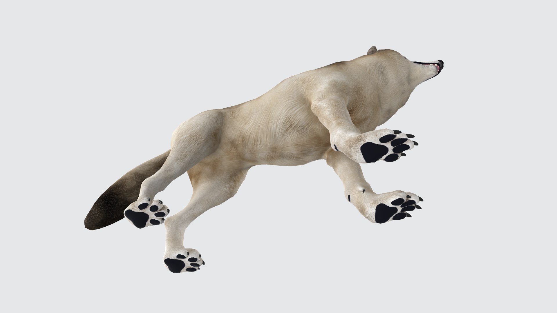 3D model Gray Wolf Animal Figure 3D Model Ready to Print https://p.turbosquid.com/ts-thumb/bA/HdyBg5/OI/graywolfanimalfigure3dmodelreadytoprint7/jpg/1730364870/1920x1080/fit_q87/c0d2921aa2a6fed8d352b68134fc9947ce764d80/graywolfanimalfigure3dmodelreadytoprint7.jpg
