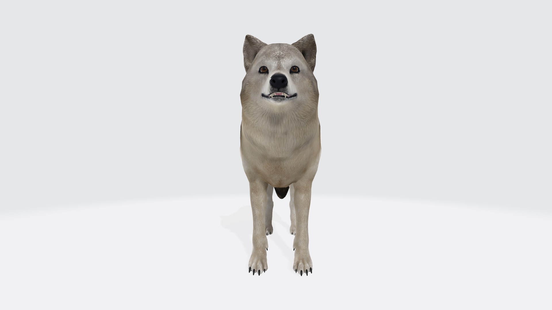 3D model Gray Wolf Animal Figure 3D Model Ready to Print https://p.turbosquid.com/ts-thumb/bA/HdyBg5/XS/graywolfanimalfigure3dmodelreadytoprint3/jpg/1730364866/1920x1080/fit_q87/698328fa5a559cc04b11e2614ab34d73f744c3dc/graywolfanimalfigure3dmodelreadytoprint3.jpg