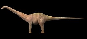 Diplodocus