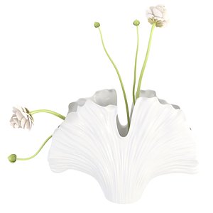 Gingko vase in shell shape  Westwing Collection