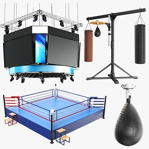 3D Detailed Boxing Collection