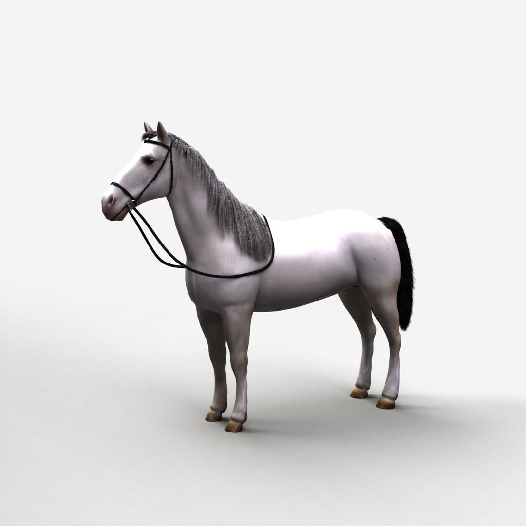 18 animals pack rigging 3D model - TurboSquid 1203808