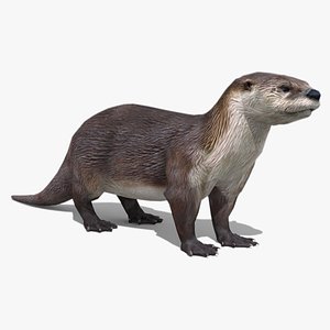 Otter