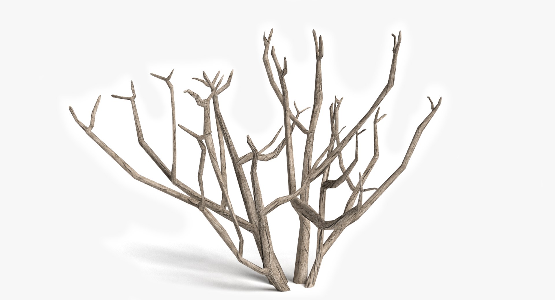 3d dead plant tree model https://p.turbosquid.com/ts-thumb/bA/h8UDoY/1qkTiO3t/thumbnail1/png/1421800624/1920x1080/fit_q87/056bef3582441484e65d0e544987fbee1ef844ce/thumbnail1.jpg