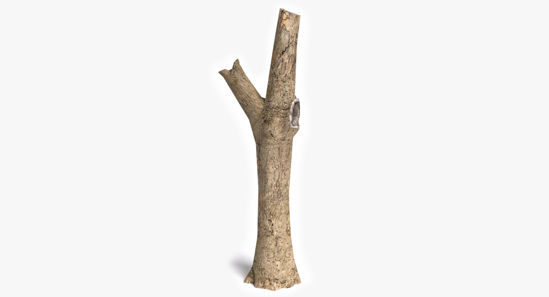 3d dead plant tree model https://p.turbosquid.com/ts-thumb/bA/h8UDoY/2WWHm8hm/thumbnail1/png/1421800811/1920x1080/fit_q87/0c8bb01d29aa6bd7632f8e69112e1e9734be0ef2/thumbnail1.jpg