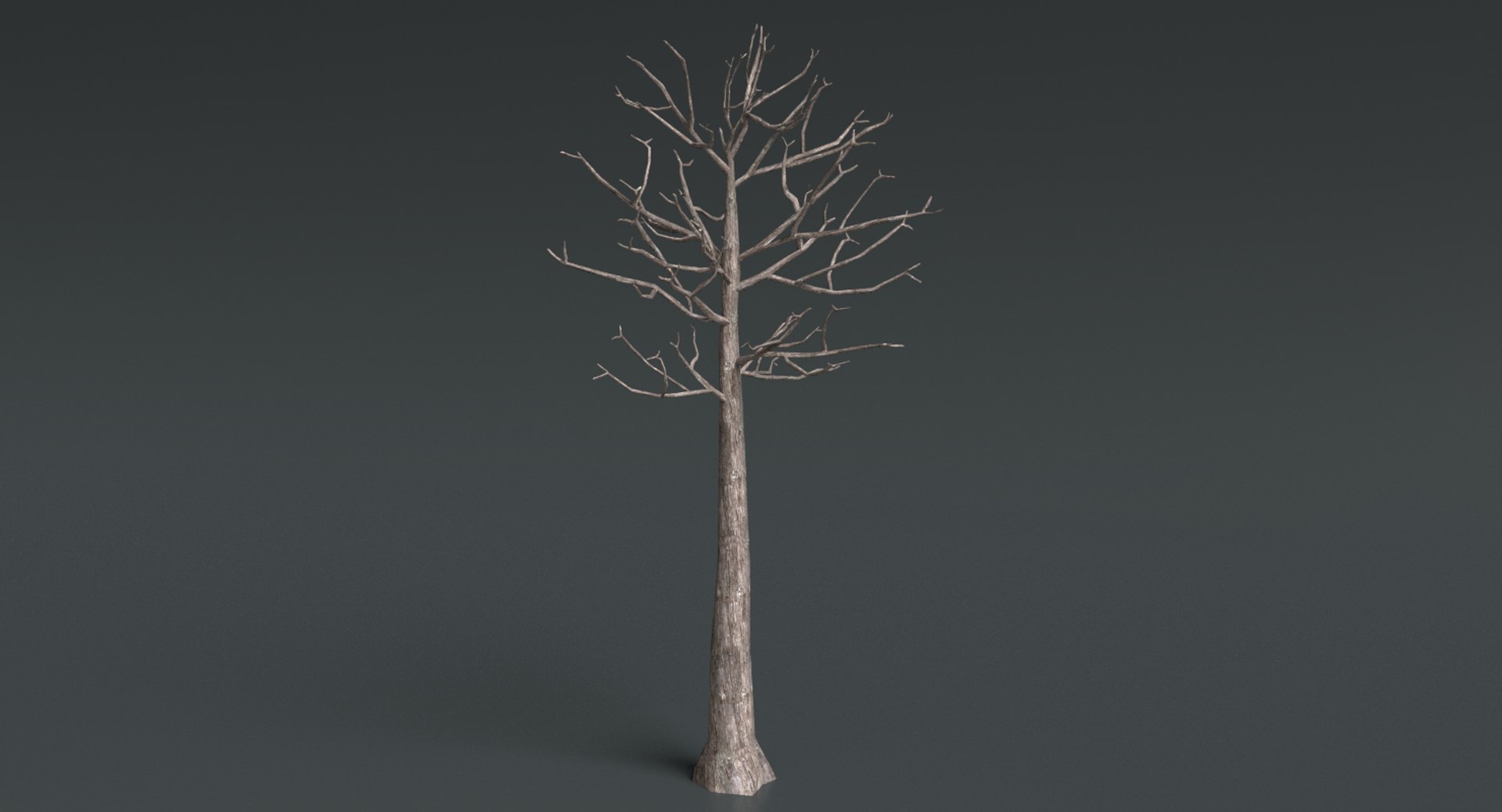 3d dead plant tree model https://p.turbosquid.com/ts-thumb/bA/h8UDoY/3SQTeQdb/thumbnail3/png/1421800792/1920x1080/fit_q87/1c4a129fe9e4e95713107569b681682c9371748a/thumbnail3.jpg