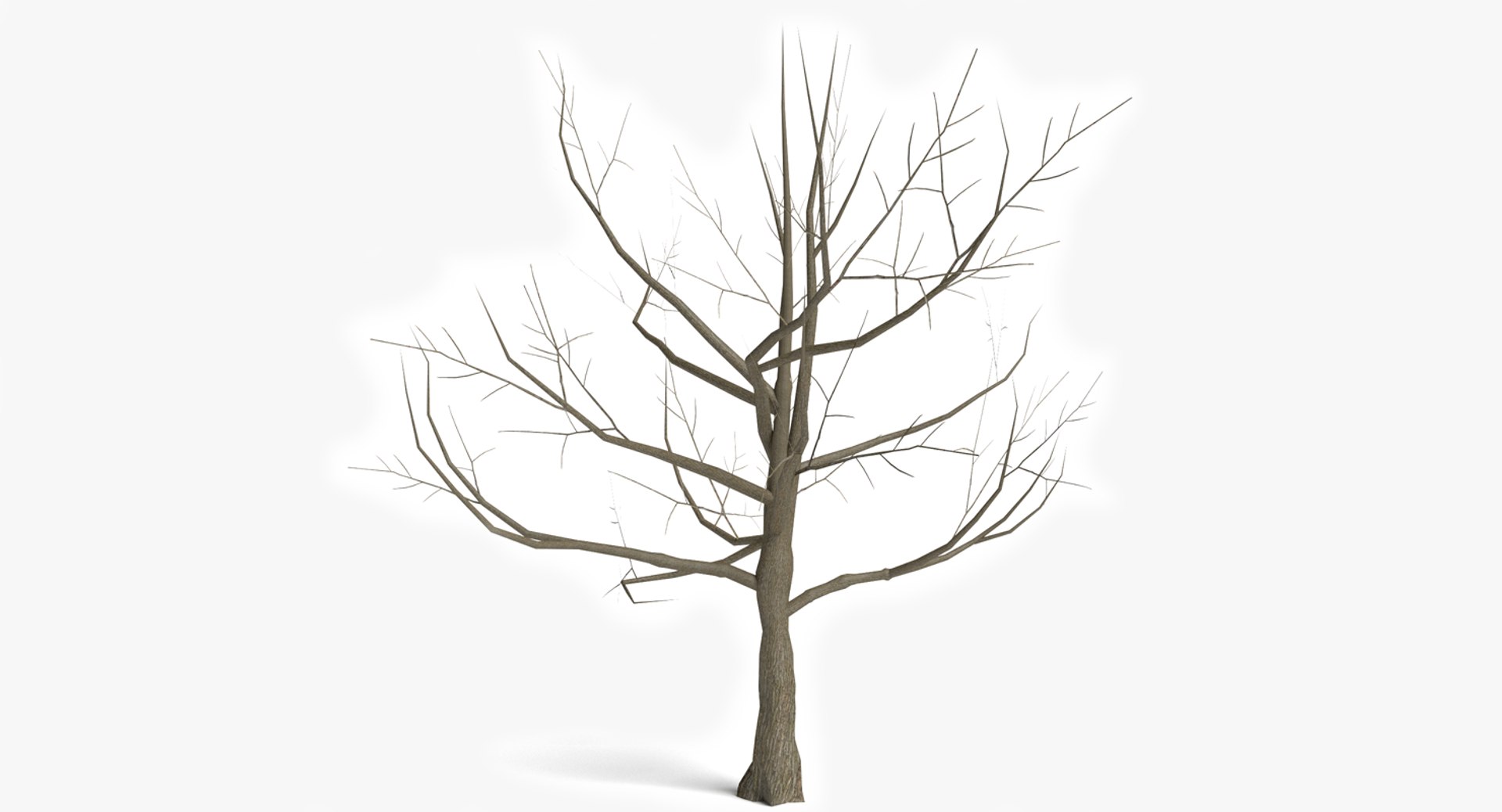 3d dead plant tree model https://p.turbosquid.com/ts-thumb/bA/h8UDoY/5pSVWuwf/thumbnail1/png/1421800738/1920x1080/fit_q87/67395fdc072c967aee17e15bc12ad529438c1b9b/thumbnail1.jpg