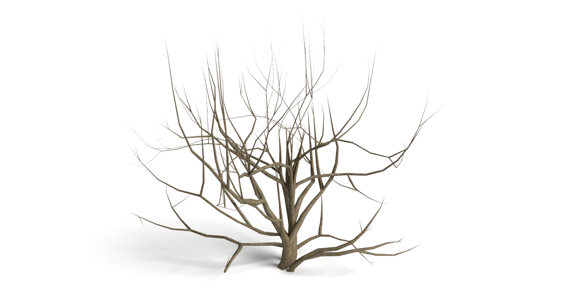3d dead plant tree model https://p.turbosquid.com/ts-thumb/bA/h8UDoY/8cxeSy17/image/png/1421800510/1920x1080/turn_fit_q99/1159b58069cd0c22aaea863196cdd4e0a93da3db/image-1.jpg
