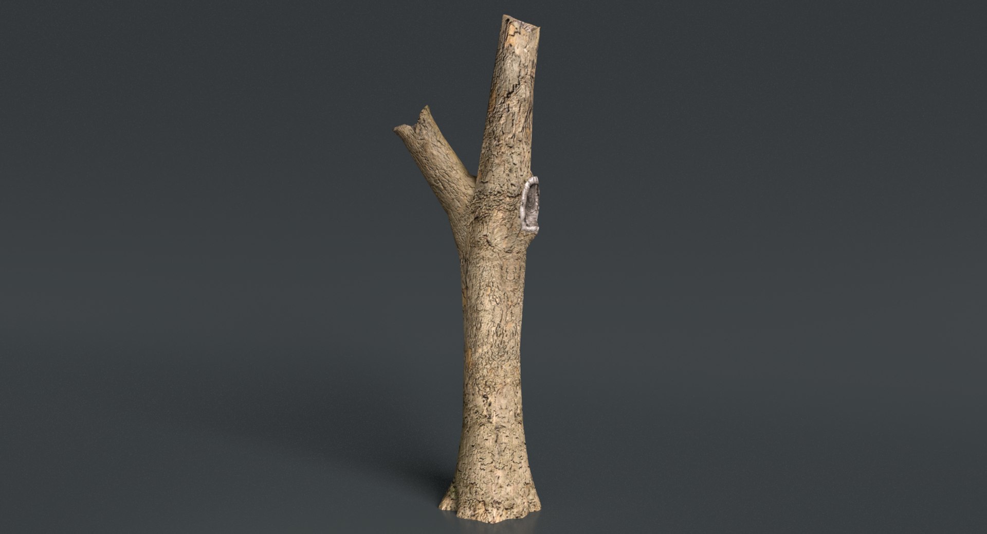 3d dead plant tree model https://p.turbosquid.com/ts-thumb/bA/h8UDoY/D8Q9wdxt/thumbnail4/png/1421800811/1920x1080/fit_q87/f50058db936a217ccfd61157dadf8deb2a8e3f1a/thumbnail4.jpg