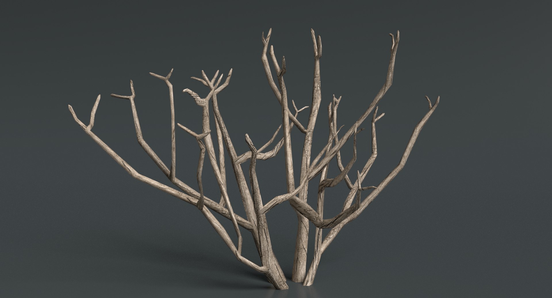 3d dead plant tree model https://p.turbosquid.com/ts-thumb/bA/h8UDoY/OyIclSKN/thumbnail3/png/1421800624/1920x1080/fit_q87/16c64ba29ca627b7c4c8387affd7f25879e1032b/thumbnail3.jpg