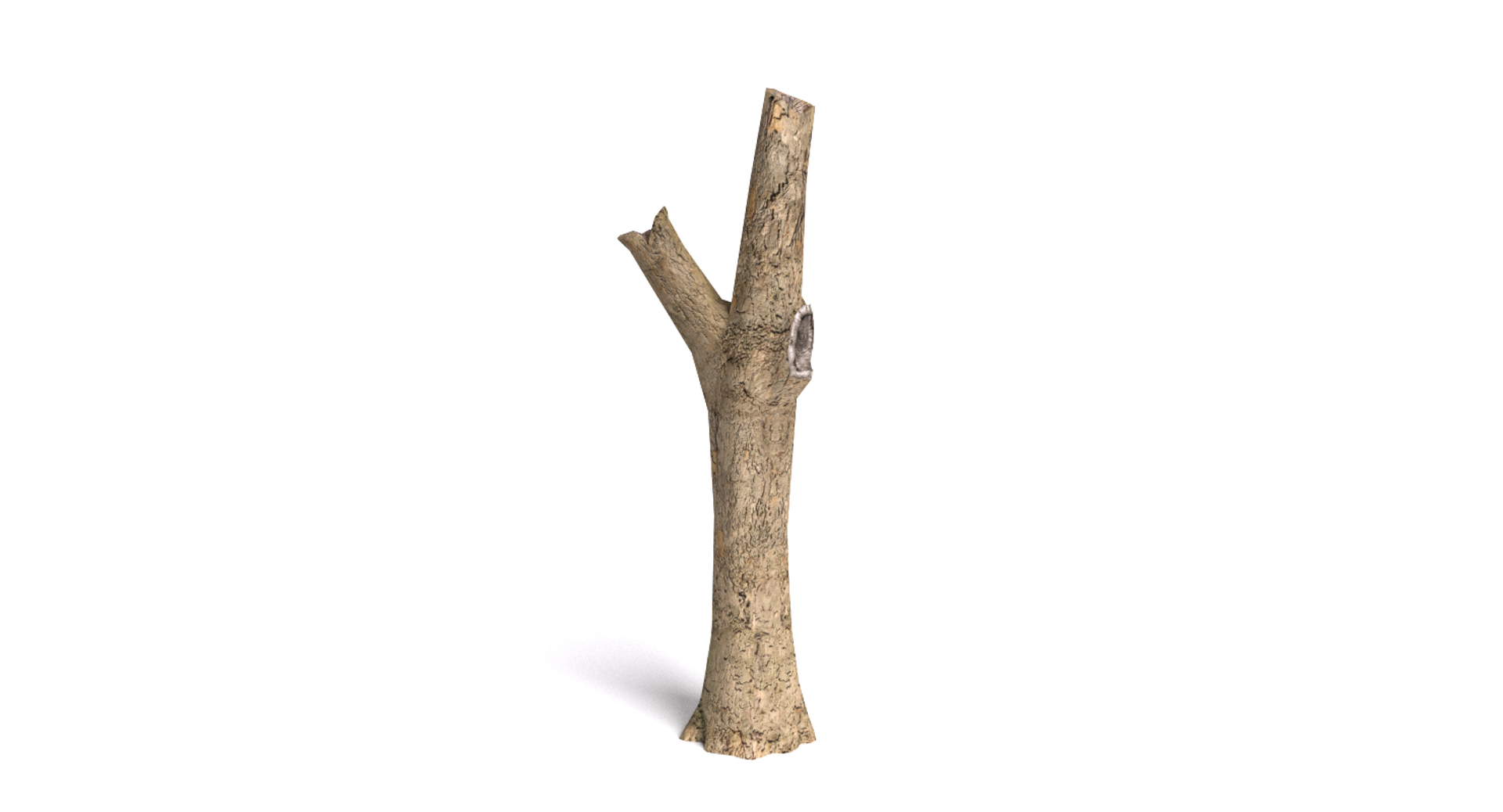 3d dead plant tree model https://p.turbosquid.com/ts-thumb/bA/h8UDoY/P7SpN9bQ/images/png/1421801003/1920x1080/turn_fit_q99/f46a7be9e860130a1db86cad58df20914139cfa7/images-1.jpg