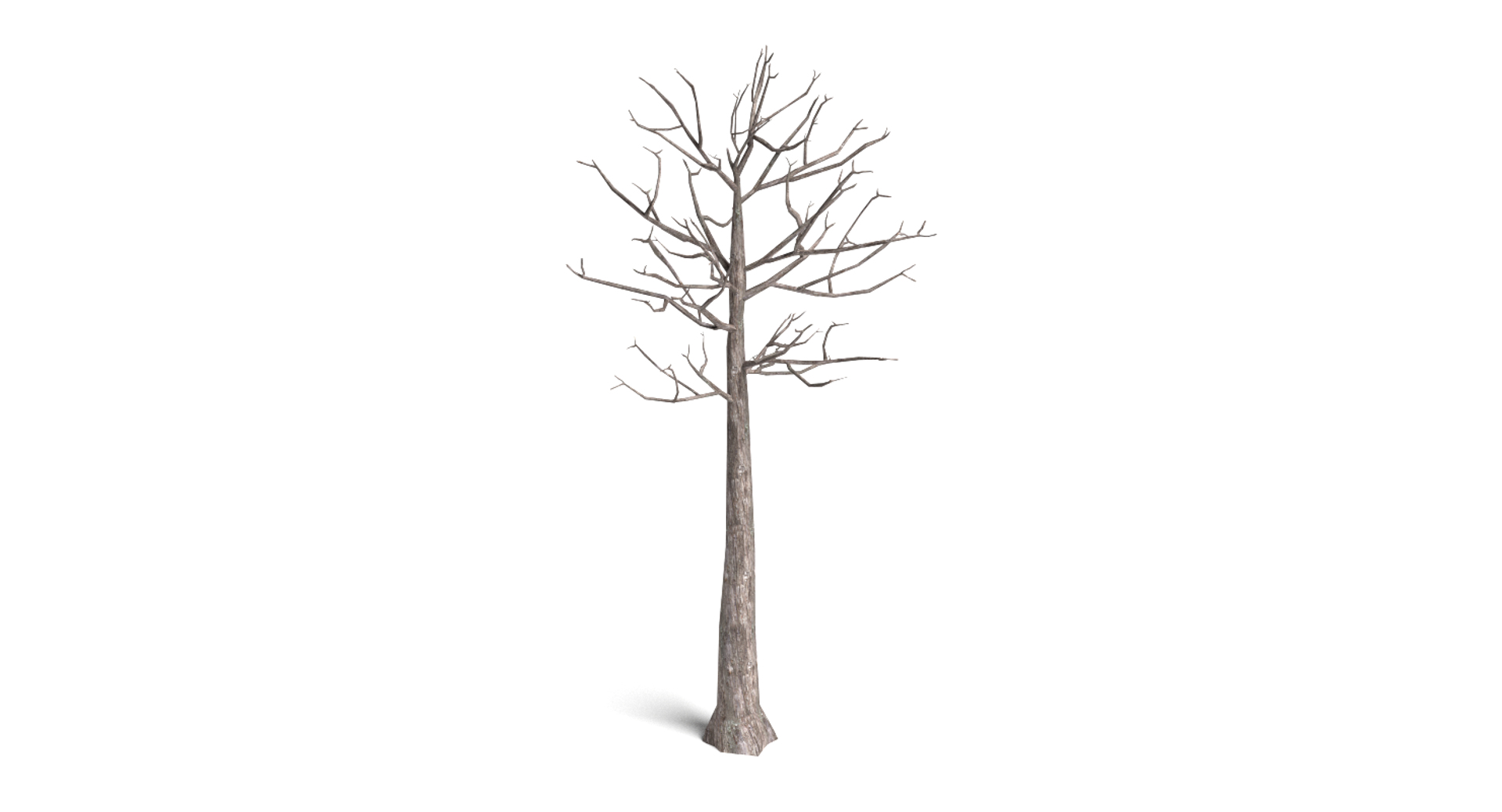 3d dead plant tree model https://p.turbosquid.com/ts-thumb/bA/h8UDoY/UUA650ud/image/png/1421800972/1920x1080/turn_fit_q99/bdaf2fda25898033f81bfc2ba8edb5941451ba4e/image-1.jpg