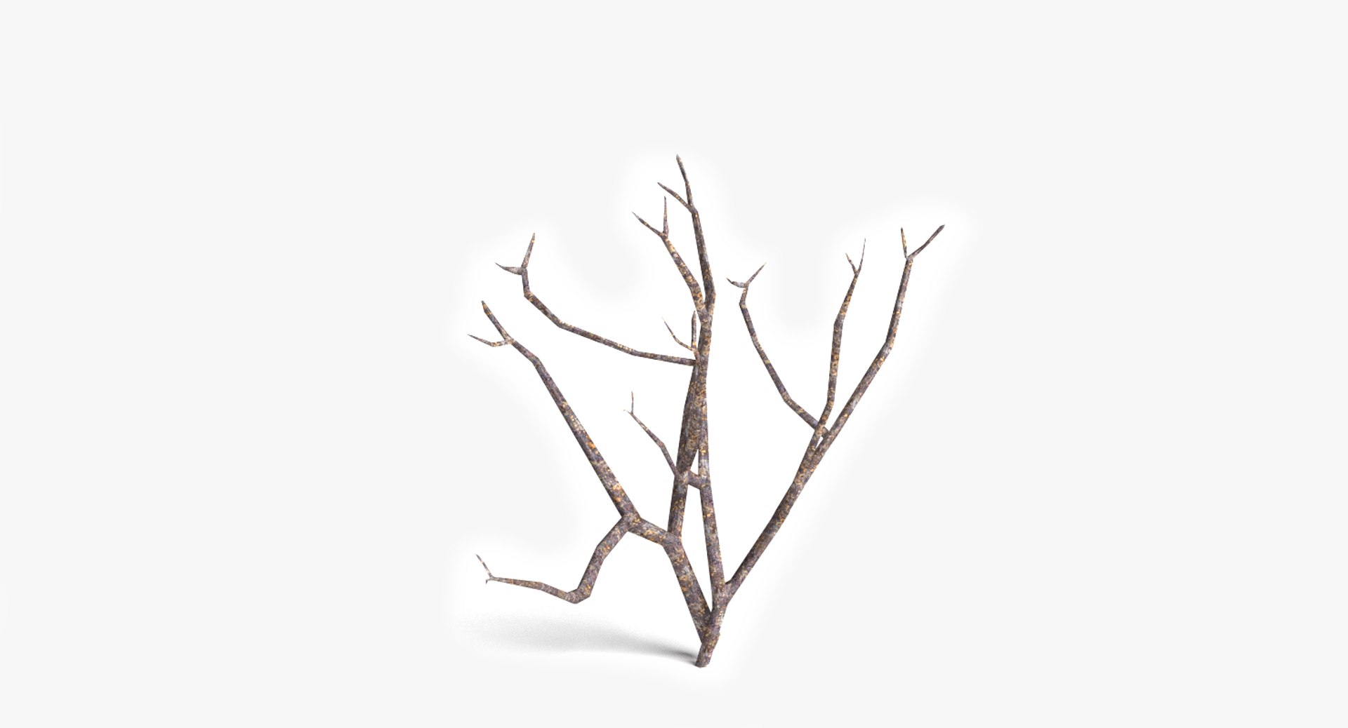 3d dead plant tree model https://p.turbosquid.com/ts-thumb/bA/h8UDoY/XrbKiofI/thumbnail1/png/1421800654/1920x1080/fit_q87/757983a9b1926d001e50843c545950e2620b2522/thumbnail1.jpg