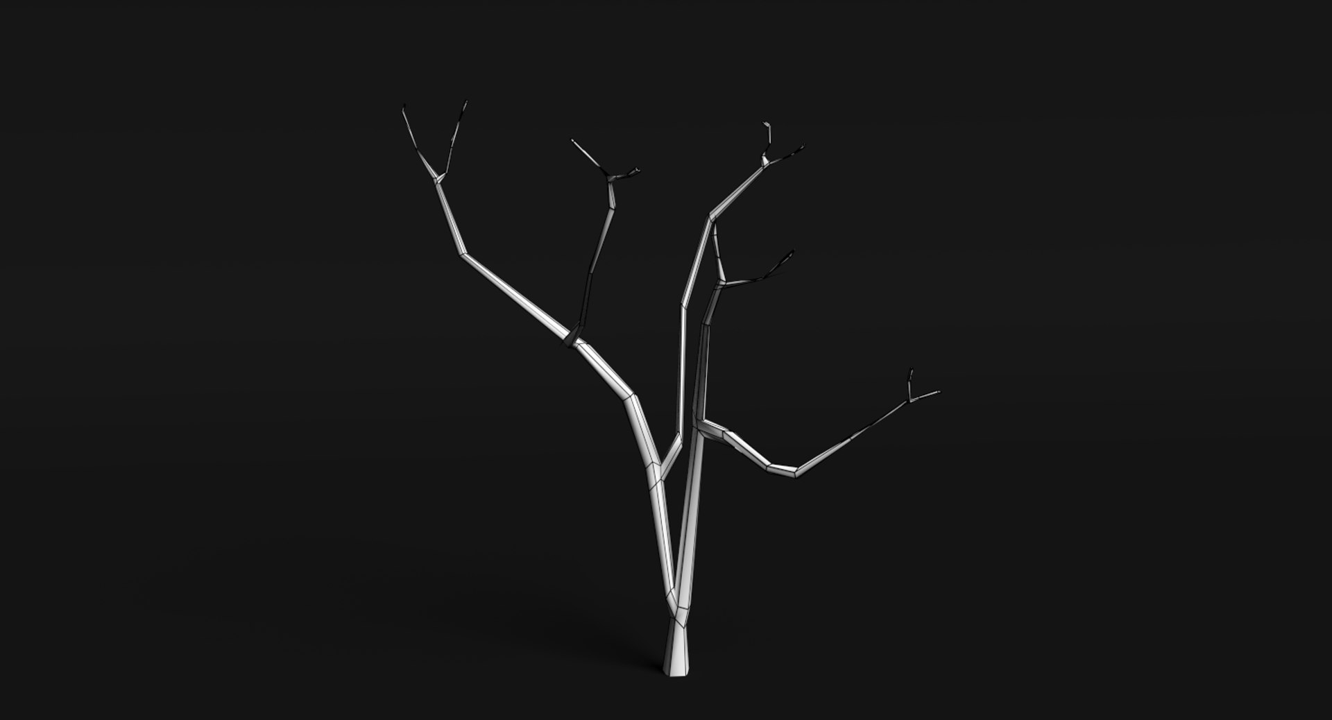 3d dead plant tree model https://p.turbosquid.com/ts-thumb/bA/h8UDoY/dXS1Re02/wireframe/png/1421800673/1920x1080/fit_q87/a7bd84020c2aa583fc21cd3fbe4a6f6f9e23361f/wireframe.jpg