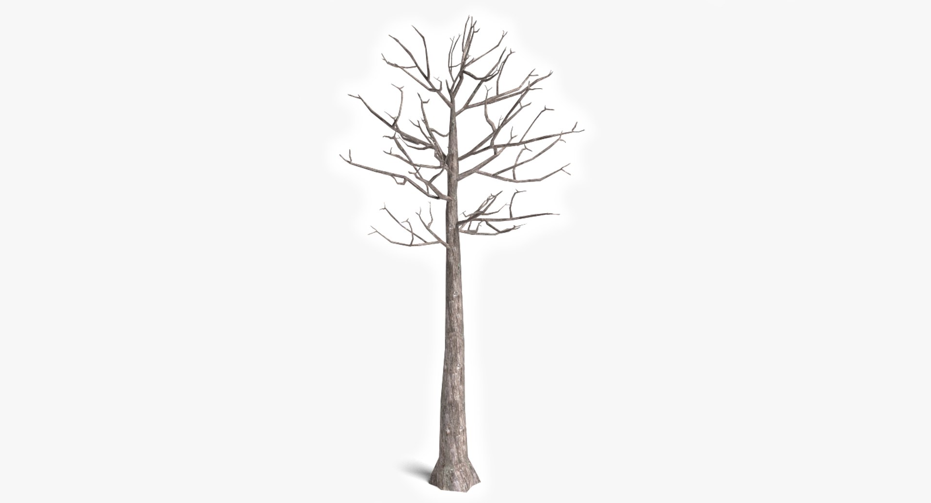 3d dead plant tree model https://p.turbosquid.com/ts-thumb/bA/h8UDoY/eORsk9UL/thumbnail1/png/1421800792/1920x1080/fit_q87/af0dad1c7218a3e04938734d2965c1879483d713/thumbnail1.jpg