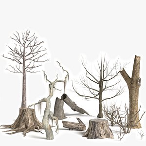 Dead Trees and Plants Collection