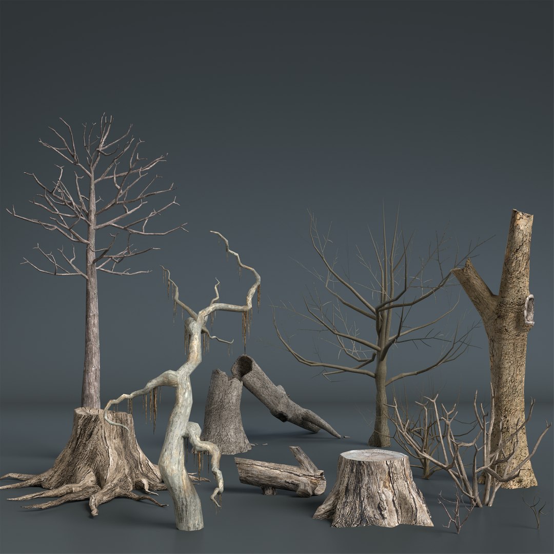3d dead plant tree model https://p.turbosquid.com/ts-thumb/bA/h8UDoY/ueZUprZ4/thumbnail1_color/png/1421800446/1920x1080/fit_q87/a4001bcffedeeb064fb731bdaa1e7ced2e0a3d0a/thumbnail1_color.jpg